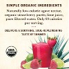 Tres Agaves Strawberry Margarita Mix - 4pk/8 fl oz Bottles - 4 of 4