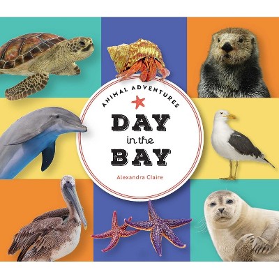 Animal Adventures: Day in the Bay - by  Alexandra Claire (Board Book)