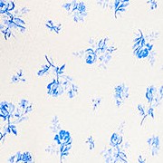 ivory/blue dainty floral