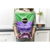 Miracle-Gro African Violet Potting Mix, 8 Quart Bag - 3 of 4