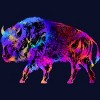 Junior's Design By Humans Rainbow Buffalo By ZeichenbloQ T-Shirt - 2 of 3
