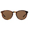 Polo Ralph Lauren PH 4110 513473 Unisex Phantos Sunglasses Havana 50mm - 2 of 3