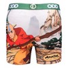 Odd Sox Men's Gift Idea Novelty Underwear Boxer Briefs, Avatar Camo - image 2 of 4