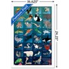 Trends International Wild Kratts - Grid Framed Wall Poster Prints - 3 of 4