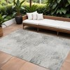 Silver Gray And Ivory Abstract Washable Indoor Outdoor Area Rug - 2 of 4