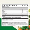 Floradix Magnesium - Liquid Herbal & Mineral Supplement for Bone Support, Digestive Health* & More - Vegetarian, Non-GMO - 2 of 4