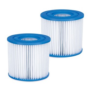 Summer Waves P57000102 Replacement Type D Swimming Pool and Hot Tub Spa Cartridge with Heavy Duty Ultimate Filtration Paper, 2 Pack - 1 of 2