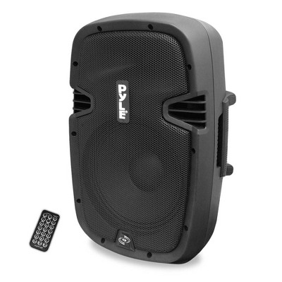 p audio 12 inch 600 watt speaker price