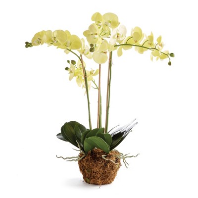 Plum & Post Phalaenopsis Orchid Artificial Plant Drop-In