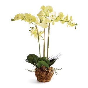 Plum & Post Phalaenopsis Orchid Artificial Plant Drop-In - 1 of 3