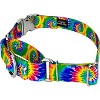 Country Brook Petz Martingale Dog Collar with Premium Buckle - Groovy Collection - 2 of 4