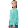 BLUEMING Girls Long Sleeve Cable Knit Sweater Crew Neck Pullover Sweaters Kids Casual Fall Jumper Tops for Autumn Adventures - 4 of 4