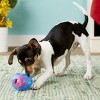 Furry Fido Interactive Treat Dispensing Calabash Dog Chew Toy - 4 of 4