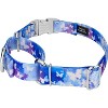 Country Brook Petz Martingale with Premium Buckle, Critter Corner Collection - 2 of 4