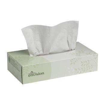 Envision 2-Ply Facial Tissue Flat Box 100 Count, 30 Packs, 3000 Total
