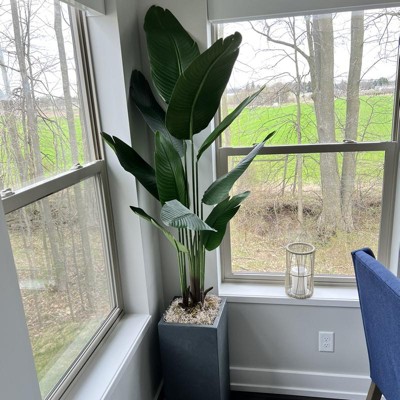 Guest review image 2 of 2, zoom in