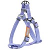 Racxily 2-in-1 Durable Nylon Dog Harness and Leash, with Soft Padded Handle,Escape Proof and Quick Fit to Adjust Dog Harness - 2 of 4