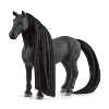 Schleich Beauty Criollo Definitivo Mare Animal Figure - 3 of 4