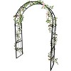 Outdoor Metal Garden Arch, Lawn Arbor with Stakes, Garden Arch Arbor Trellis for Climbing Plants, Roses, Vines, Wedding Archway Decor - 2 of 4