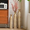 Dexmalle High distress metal center vases with growing vine patterns - 2 of 4