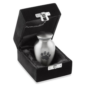 Reminded Pet Cremation Urns for Dog and Cat Ashes, Memorial Paw Print Urn - 1 of 4