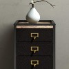COZONY Mobile File Cabinet Collection, Rolling Storage Organizer with Fabric Drawers, Under Desk Filing Cabinet for Home Office - 3 of 4
