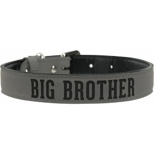 Pavilion Gift Company - L/XL Big Brother - 30" PU Leather Pet Collar - Pet Collar - 1 of 4