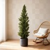 5FT Artificial Cypress Tree, UV Resistant, Realistic Fake Topiary Plant, Black Plastic Pot-- Frevyn - 2 of 4