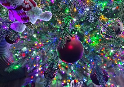 Guest review image 4 of 4, zoom in