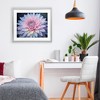 Stupell Industries Dew Kissed Pink Chrysanthemum Framed Print Under Glass - 3 of 4