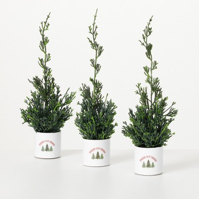 Artificial Potted Cypress Evergreen Trio Multicolor 1'h Set Of 3 : Target