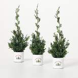 Artificial Potted Cypress Evergreen Trio Multicolor 12"H  Set of 3