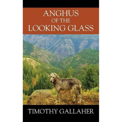 Anghus of the Looking Glass - by  Timothy Gallaher (Paperback)