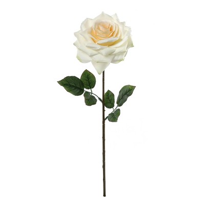 Floral Home 20" Stem Long Champagne Open Rose - 12-Piece