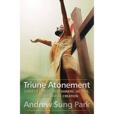 Triune Atonement - by  Andrew Sung Park (Paperback)