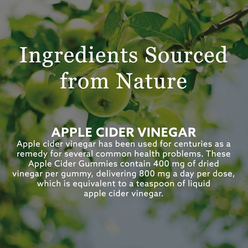 New Nordic Apple Cider Vinegar Vegan Gummies - 60ct, 6 of 11