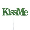 Saint Patricks 9.75 In Irish Cutout Picks Plant Stick Lucky Decorative Garden Stakes - 2 of 4