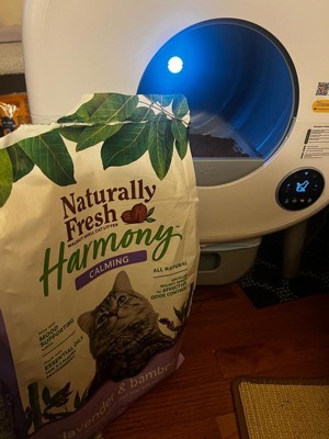 Guest review image 2 of 2, zoom in