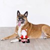 PetShop by Fringe Studio Santa's Back In Town Dog Toy - 3 of 3