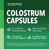 Grass Fed Colostrum Capsules, 1000mg Bovine Colostrum per Serving with 40% IgG Supplement for Immune and Gut Health, Havasu Nutrition, 120ct - 2 of 4