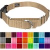 Country Brook Petz Heavy Duty Nylon Martingale Dog Collar with Deluxe Buckle - 30+ Vibrant Color Options - 2 of 4