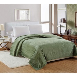 Kate Aurora Ultra Soft & Plush Lightweight Sage Green Textured Fleece Throw Blanket - 1 of 1