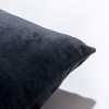 Zippered Velvet Body Pillowcase, Super Soft and Cozy Luxury Fuzzy Flannel Body Pillow Cover - NTBAY - 2 of 3