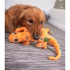 goDog Amphibianz Gecko Squeaky Plush Dog Toy, Chew Guard Technology, Large - 4 of 4