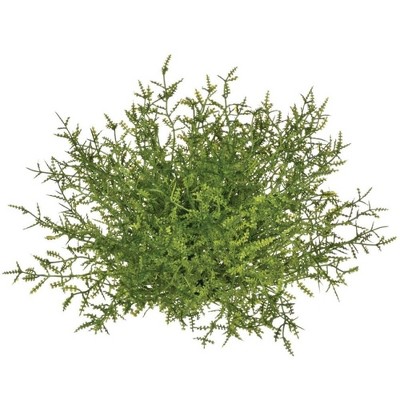 Sullivans Feather Fern Half Orb Decorative Filler