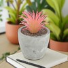 Unique Bargains Artificial Plants Mini Air in Pulp Plastic Red 2.36"x2.36"x3.54" 1 Pcs - 2 of 4