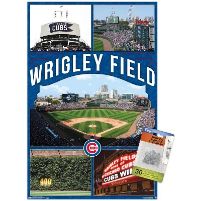 Pin on Wrigley Field Accessories