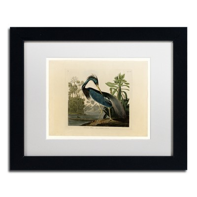 Louisiana Heron Bird Canvas Art with Black Frame
