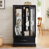 FURNIinspire Utility Storage Cabinets 3 Tier Display Cabinet 2 Door Glass Curio Cabinet, Home Decorative Display Shelf, Black, 11.81"*25.98"*47.44" - 2 of 4