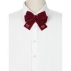 INSPIRE CHIC Women's Heart Shaped Decoration Bow Cute Elegant Preppy Brooch Pin Bow Tie - 4 of 4